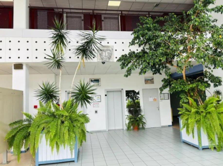 Studio-Calais Plage-Front De Mer Ngoại thất bức ảnh